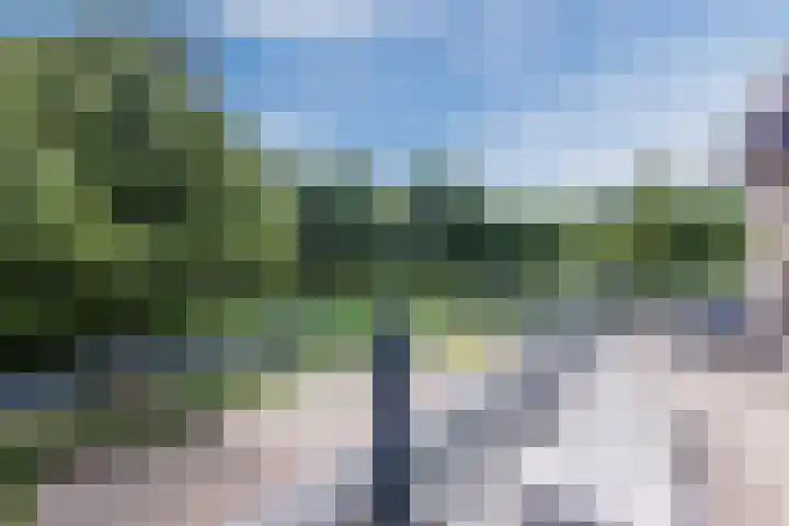 Buiksloterbreek 101 Amsterdam thumbnail 4