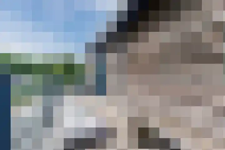 Buiksloterbreek 101 Amsterdam thumbnail 41