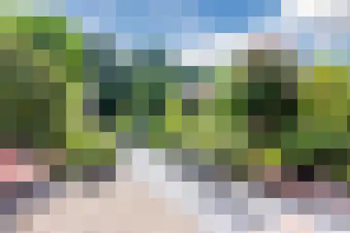 Buiksloterbreek 101 Amsterdam thumbnail 43