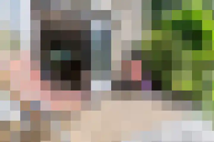 Buiksloterbreek 101 Amsterdam thumbnail 44