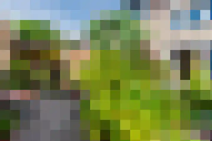 Buiksloterbreek 101 Amsterdam thumbnail 45