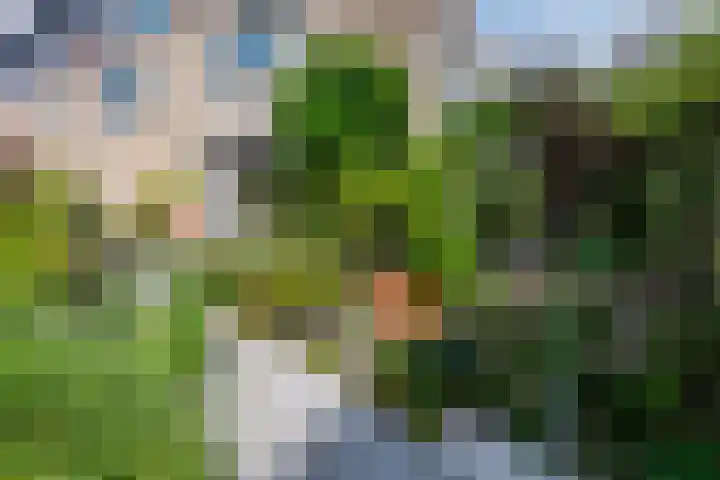 Buiksloterbreek 101 Amsterdam thumbnail 48