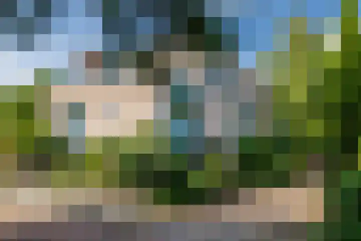 Buiksloterbreek 101 Amsterdam thumbnail 5