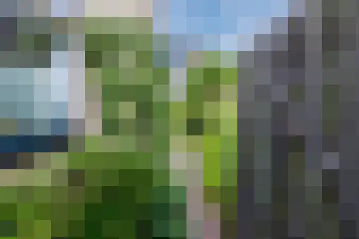 Buiksloterbreek 101 Amsterdam thumbnail 50