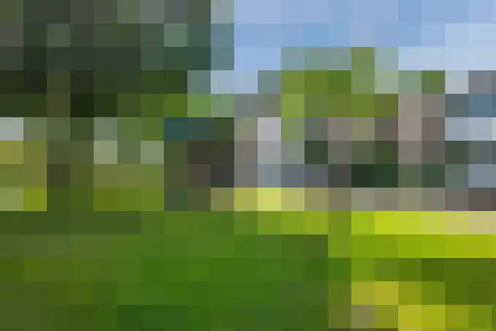 Buiksloterbreek 101 Amsterdam thumbnail 61