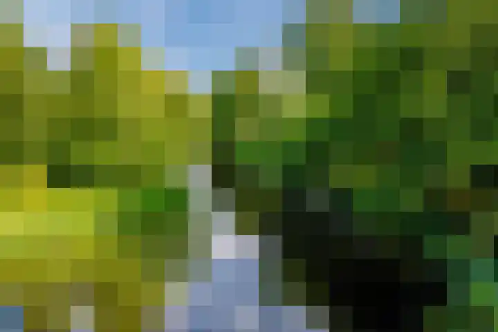 Buiksloterbreek 101 Amsterdam thumbnail 62