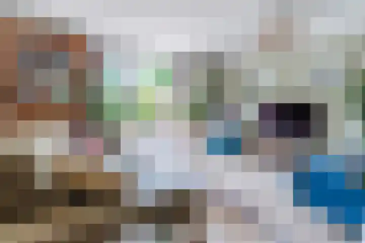 Buiksloterbreek 101 Amsterdam thumbnail 8