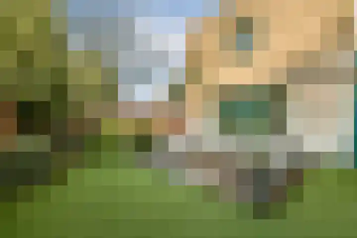 Buiksloterbreek 114 Amsterdam thumbnail 12