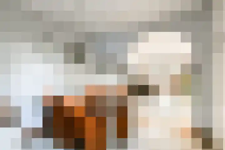 Buiksloterbreek 114 Amsterdam thumbnail 18
