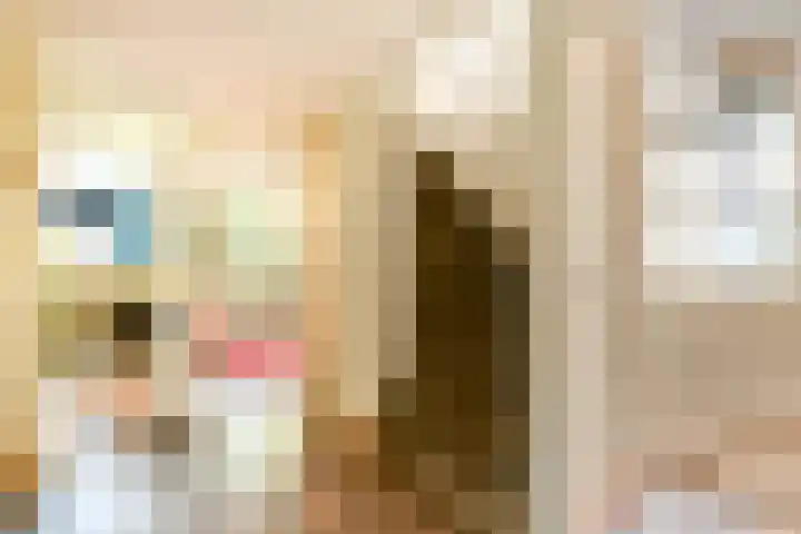 Buiksloterbreek 114 Amsterdam thumbnail 30