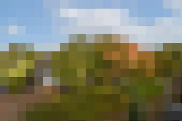 Buiksloterbreek 114 Amsterdam thumbnail 35