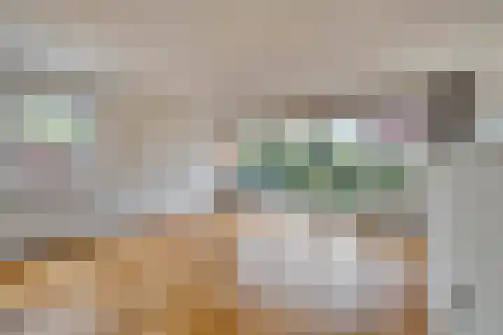 Buiksloterbreek 43 Amsterdam thumbnail 7