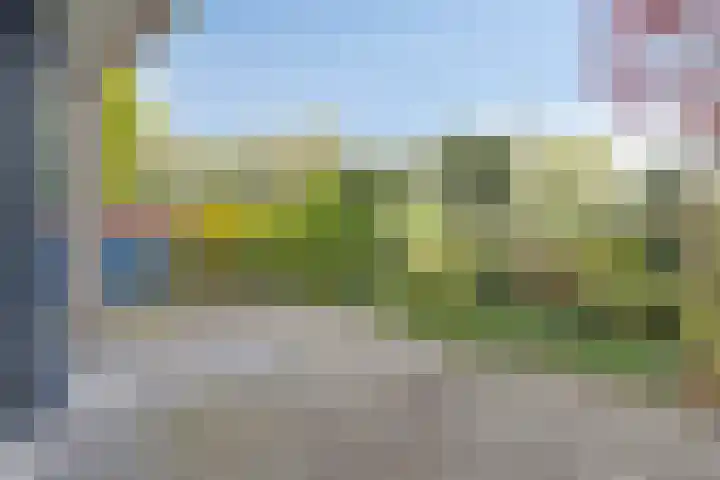 Buiksloterbreek 43 Amsterdam thumbnail 8