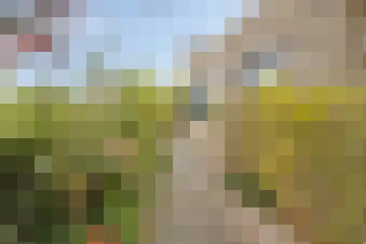 Buiksloterbreek 43 Amsterdam thumbnail 9