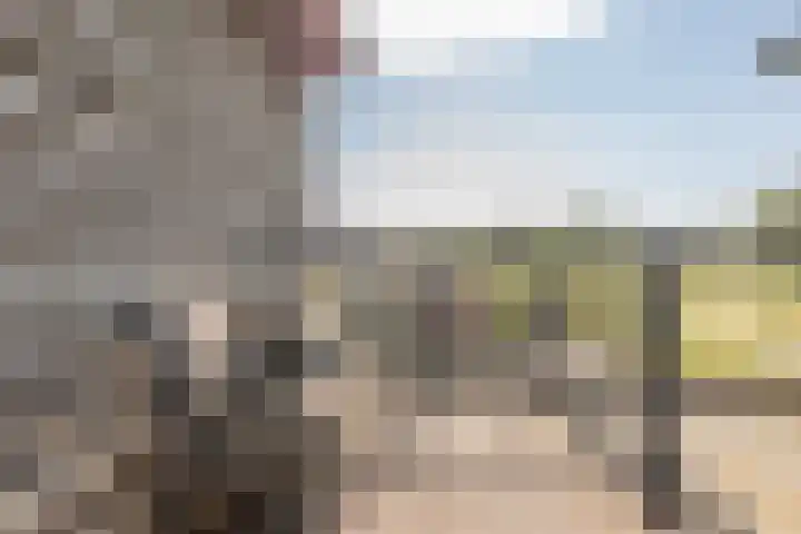 Buiksloterbreek 48 Amsterdam thumbnail 43