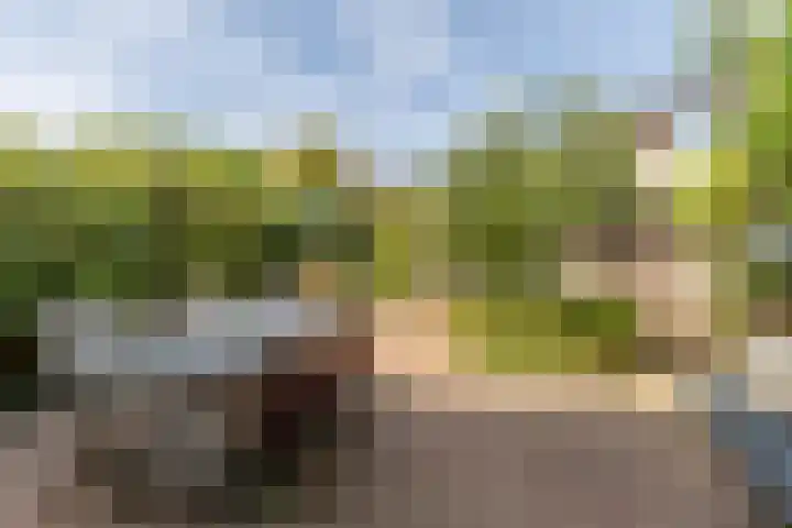 Buiksloterbreek 48 Amsterdam thumbnail 47