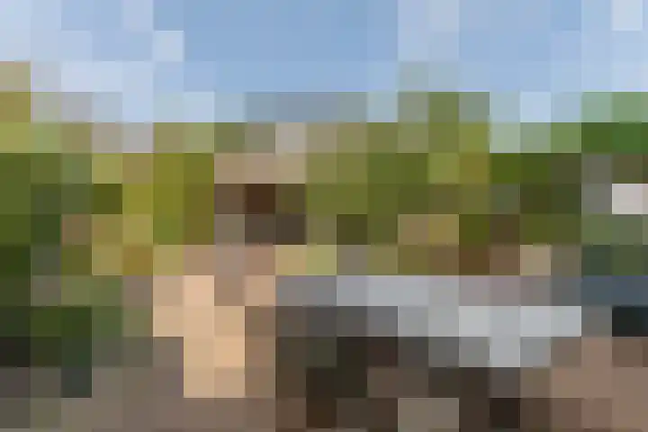 Buiksloterbreek 48 Amsterdam thumbnail 48