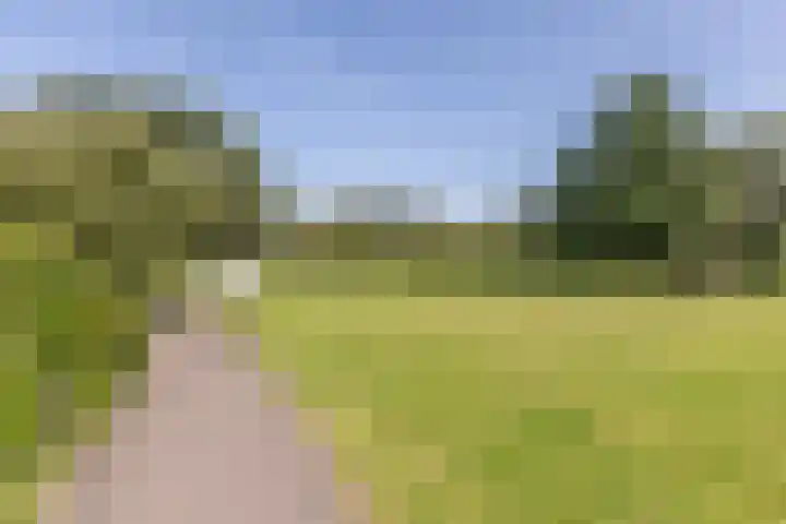 Buiksloterbreek 48 Amsterdam thumbnail 56