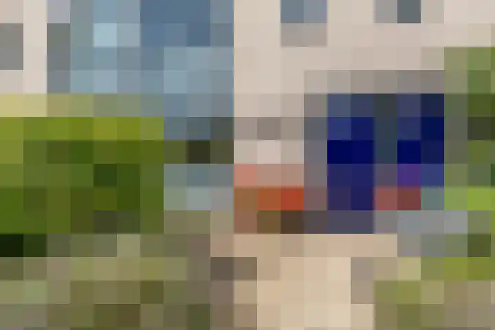 Buiksloterbreek 48 Amsterdam thumbnail 6