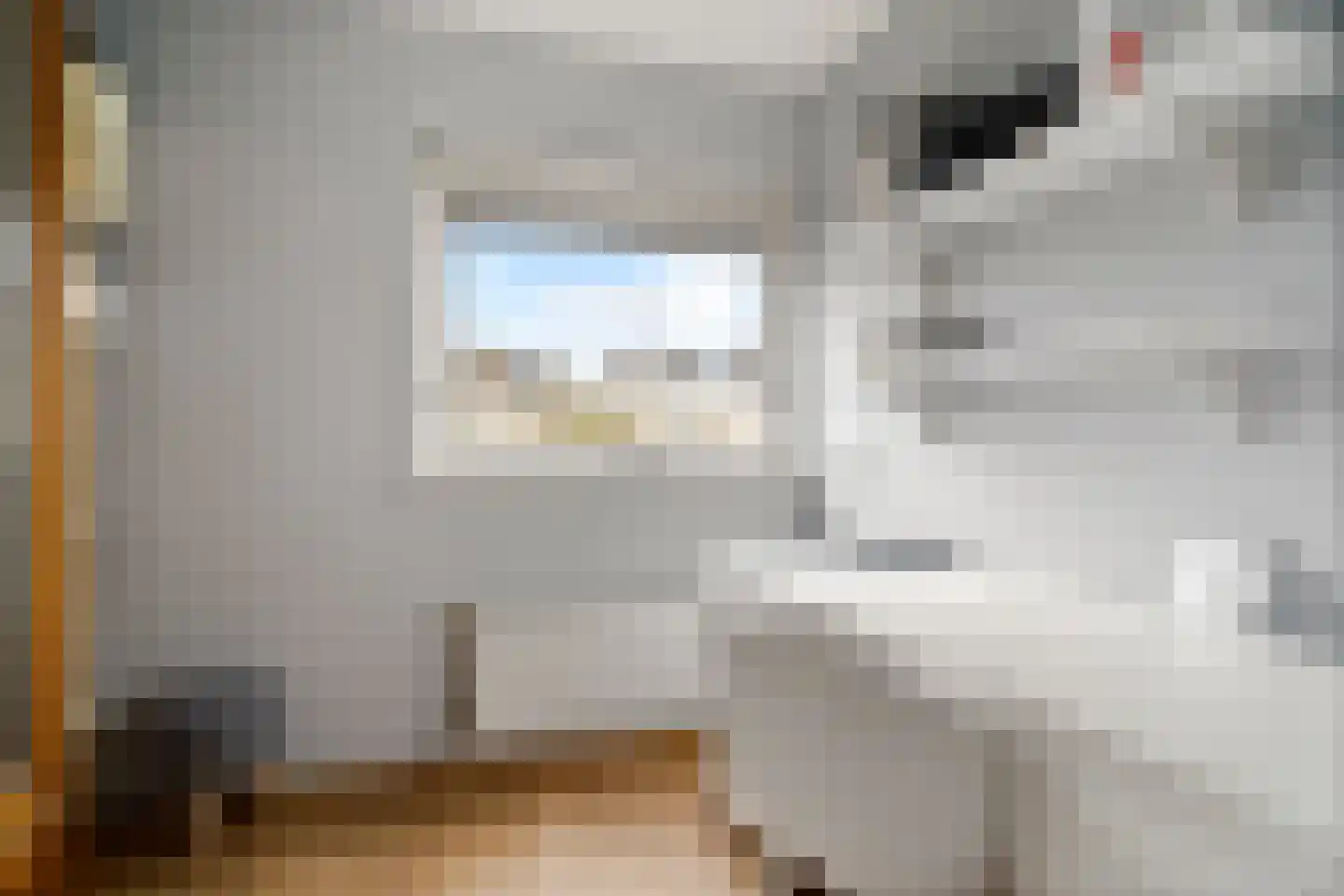 Buiksloterbreek 49 Amsterdam thumbnail 12