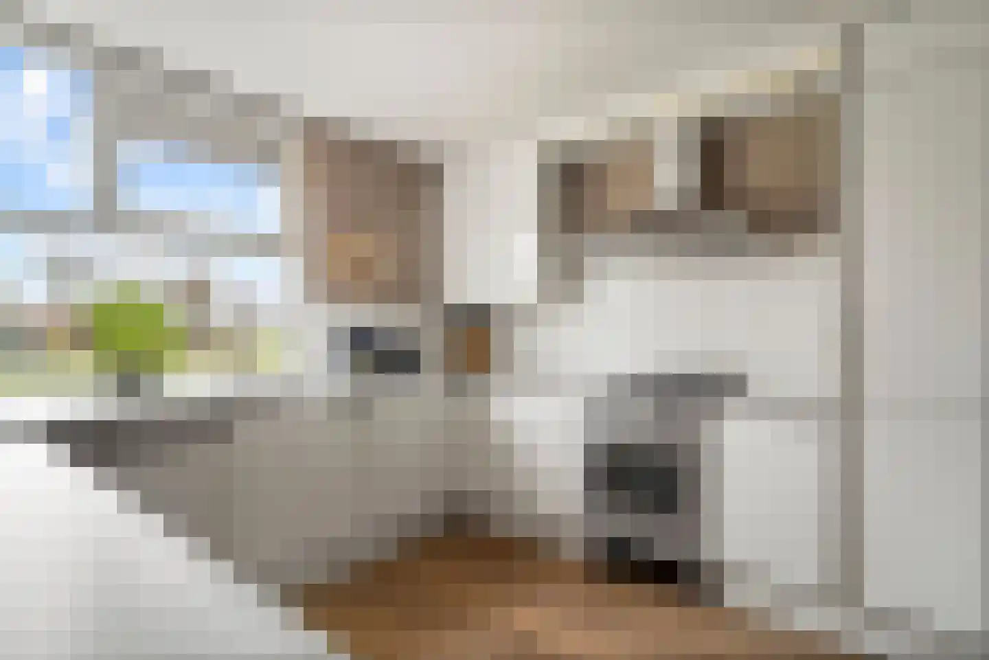 Buiksloterbreek 49 Amsterdam thumbnail 8