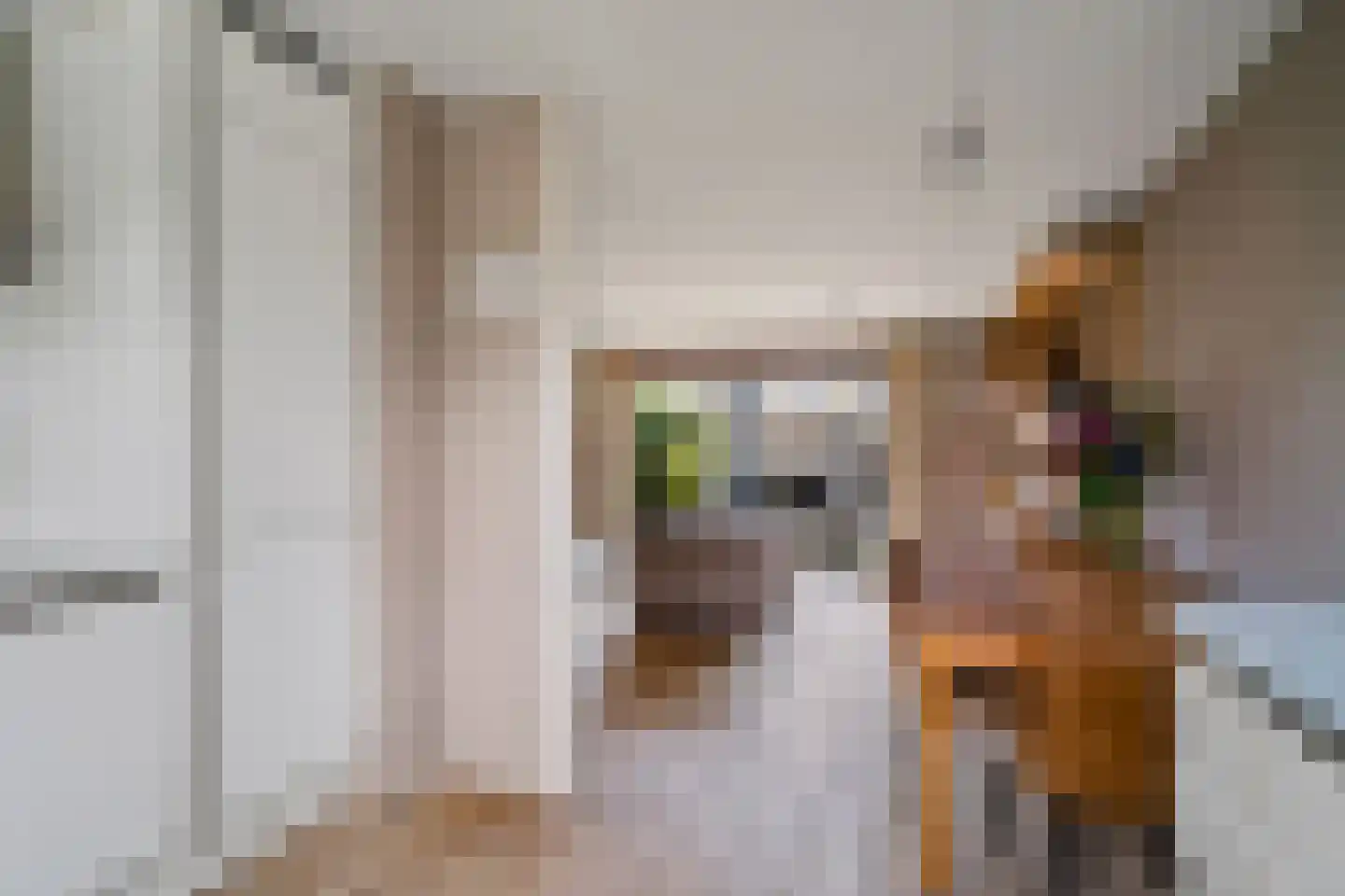 Buiksloterbreek 49 Amsterdam thumbnail 9