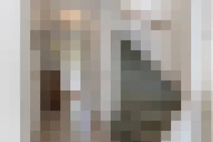 Buiksloterbreek 63 Amsterdam thumbnail 11