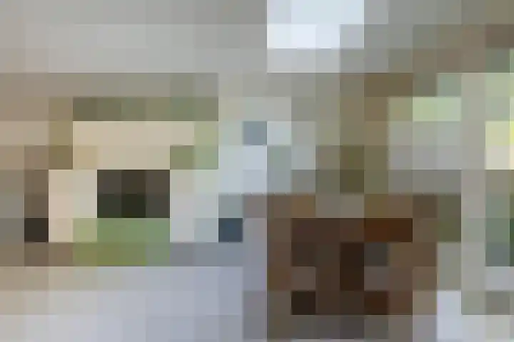 Buiksloterbreek 63 Amsterdam thumbnail 18