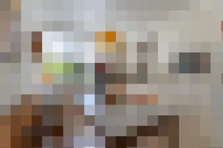 Buiksloterbreek 63 Amsterdam thumbnail 24