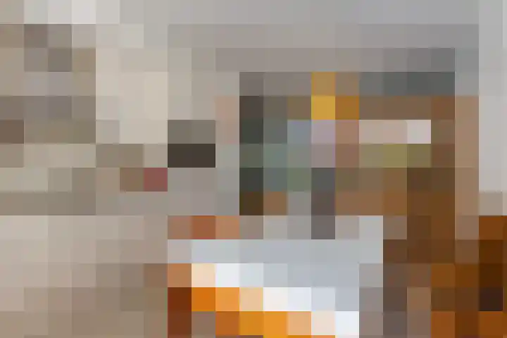 Buiksloterbreek 63 Amsterdam thumbnail 25