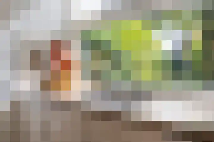Buiksloterbreek 63 Amsterdam thumbnail 27