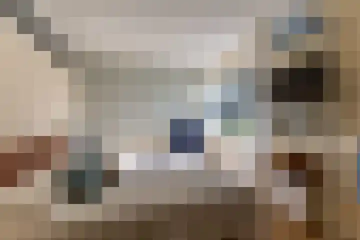 Buiksloterbreek 63 Amsterdam thumbnail 32