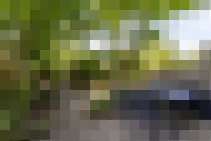 Buiksloterbreek 63 Amsterdam thumbnail 4