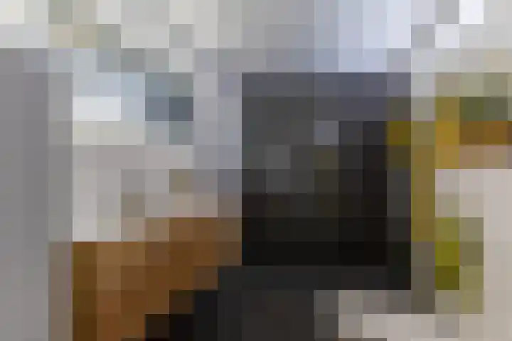 Buiksloterbreek 63 Amsterdam thumbnail 40