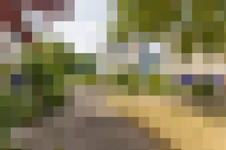 Buiksloterbreek 63 Amsterdam thumbnail 6