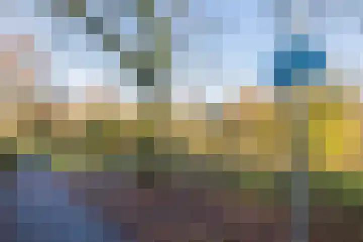 Buiksloterbreek 92 Amsterdam thumbnail 30