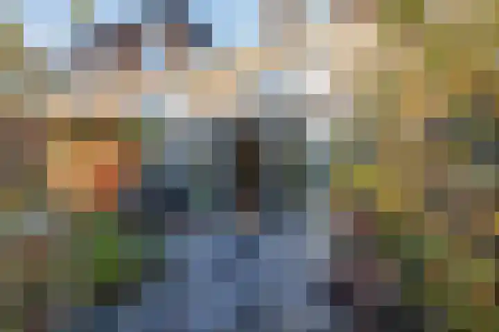 Buiksloterbreek 92 Amsterdam thumbnail 9
