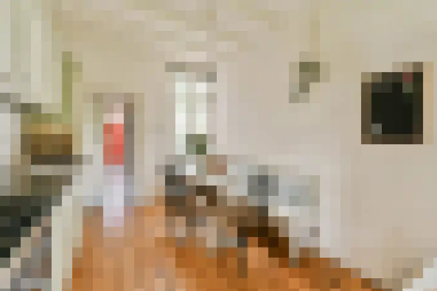 Buiksloterdijk 202 Amsterdam thumbnail 11