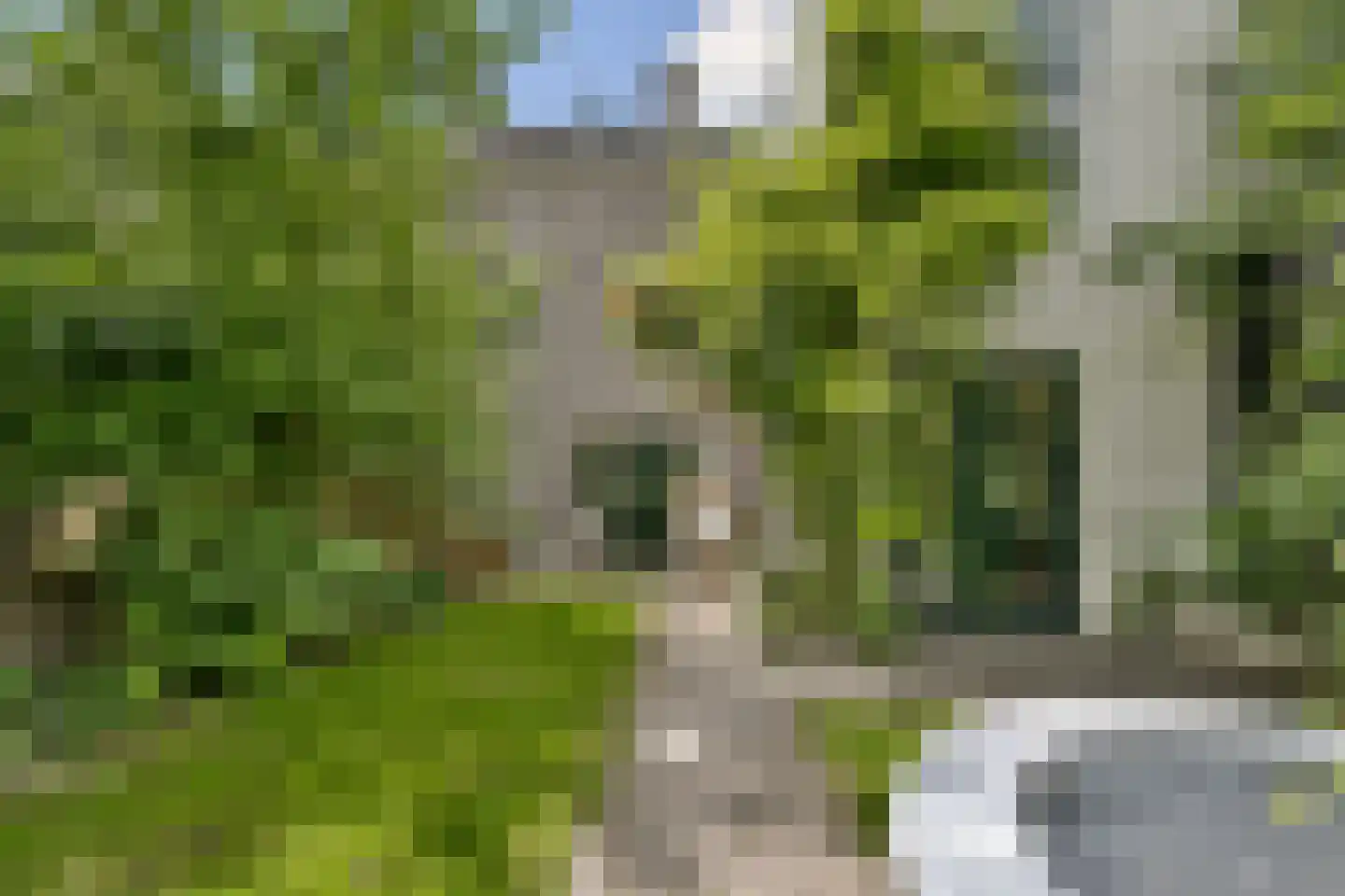 Buiksloterdijk 202 Amsterdam thumbnail 17