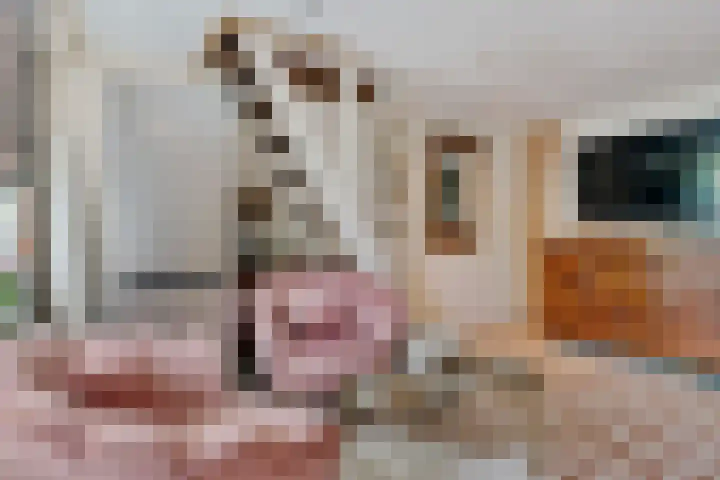 Buiksloterdijk 446 Amsterdam thumbnail 11