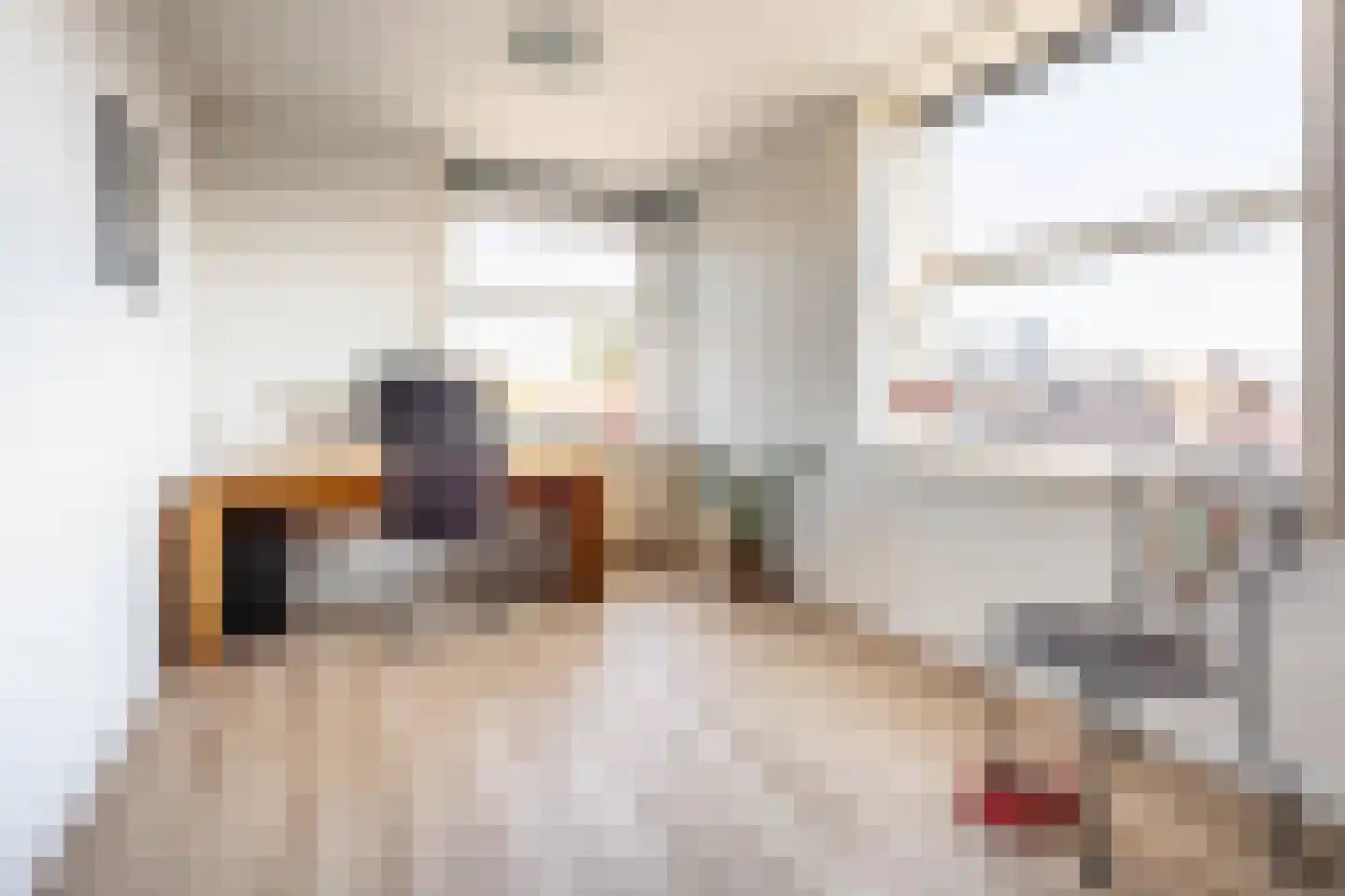 Buikslotermeerplein 43 Amsterdam thumbnail 17
