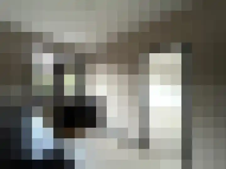 Buikslotermeerstraat 5 Edam thumbnail 10