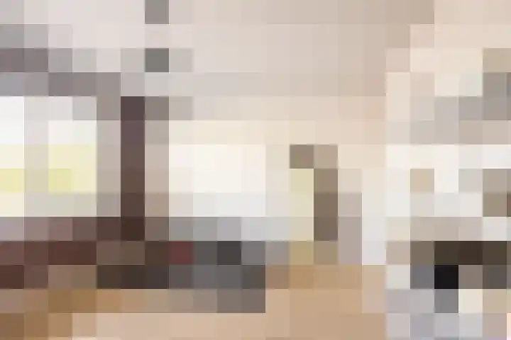 Buikslotermeerstraat 7 Edam thumbnail 32