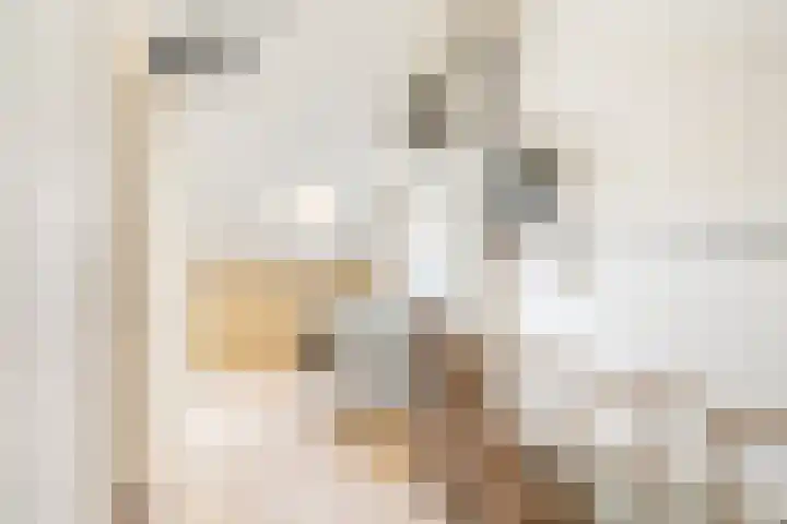 Buikslotermeerstraat 7 Edam thumbnail 36
