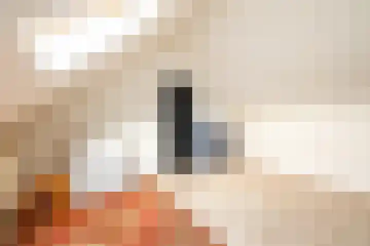 Buikslotermeerstraat 7 Edam thumbnail 38
