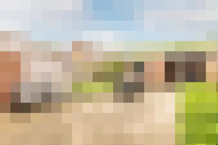Buikslotermeerstraat 7 Edam thumbnail 39