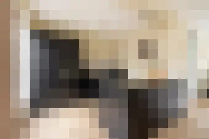 Buikslotermeerstraat 7 Edam thumbnail 4