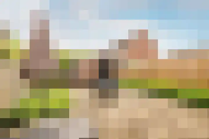 Buikslotermeerstraat 7 Edam thumbnail 42