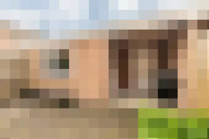 Buikslotermeerstraat 7 Edam thumbnail 43