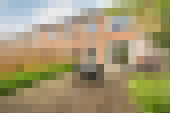 Buikslotermeerstraat 7 Edam thumbnail 44